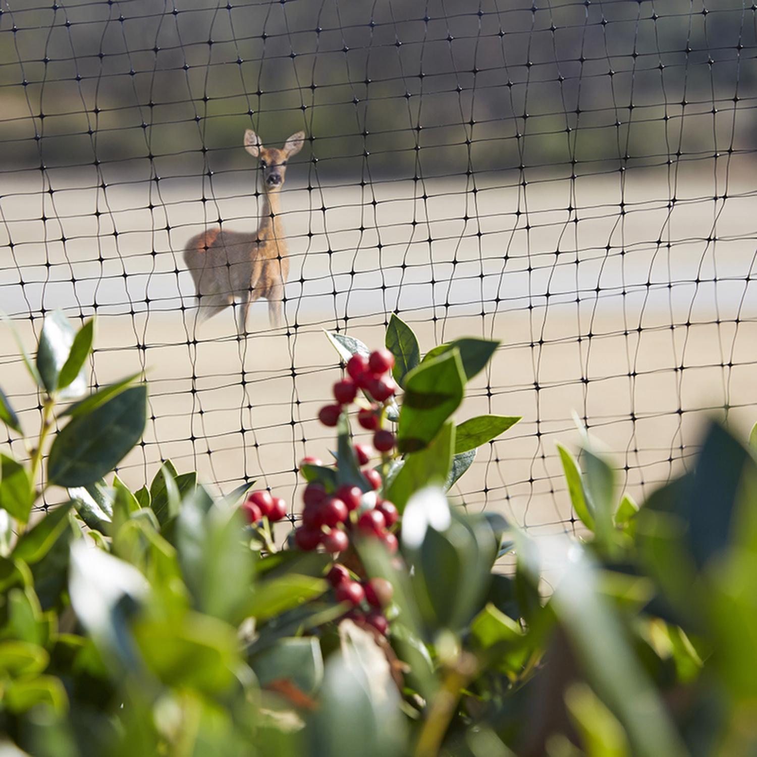 Greenscapes 21 ft. L X 7 ft. W Garden Netting