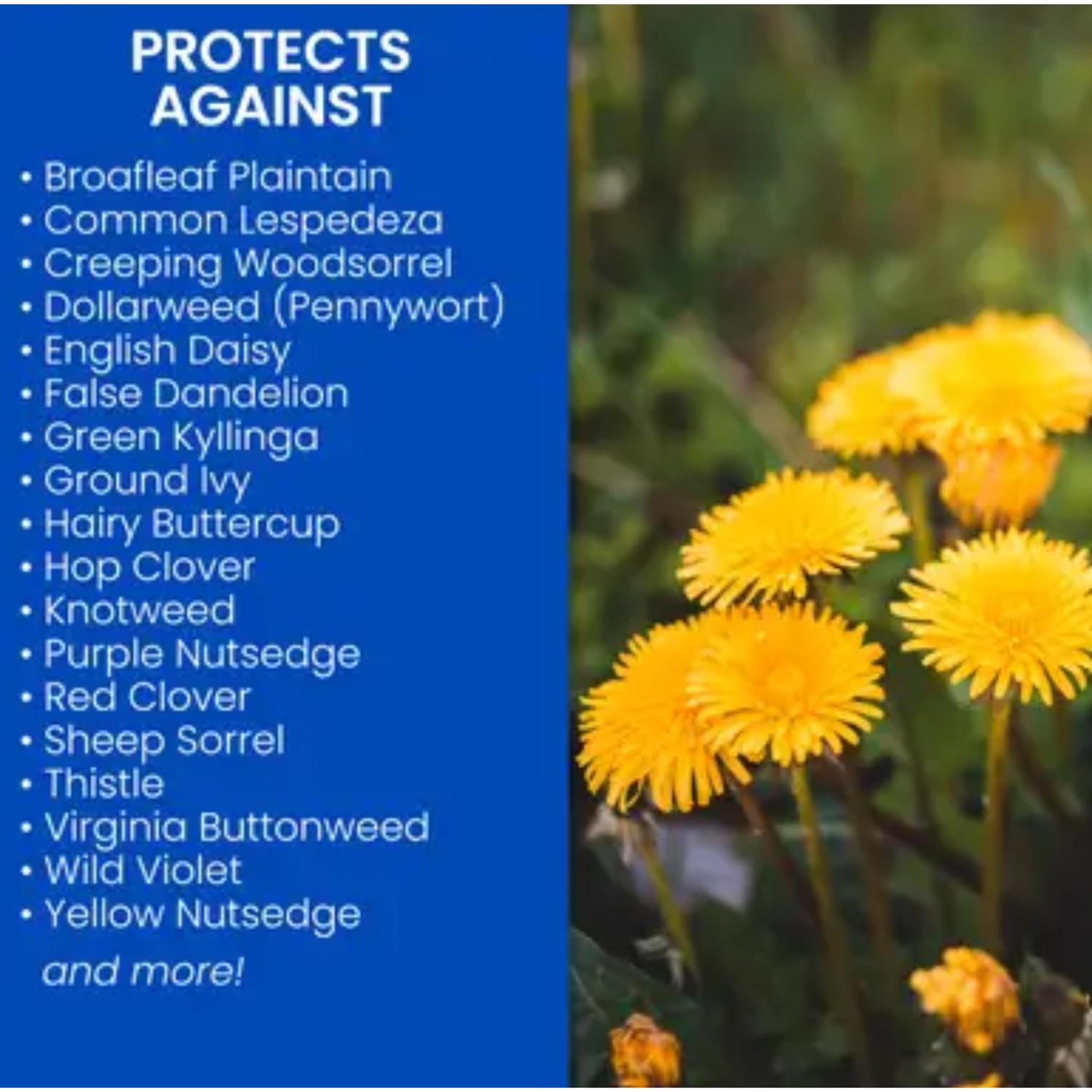 BioAdvanced Weed & Feed Lawn Fertilizer For Multiple Grass Types 5000 sq ft