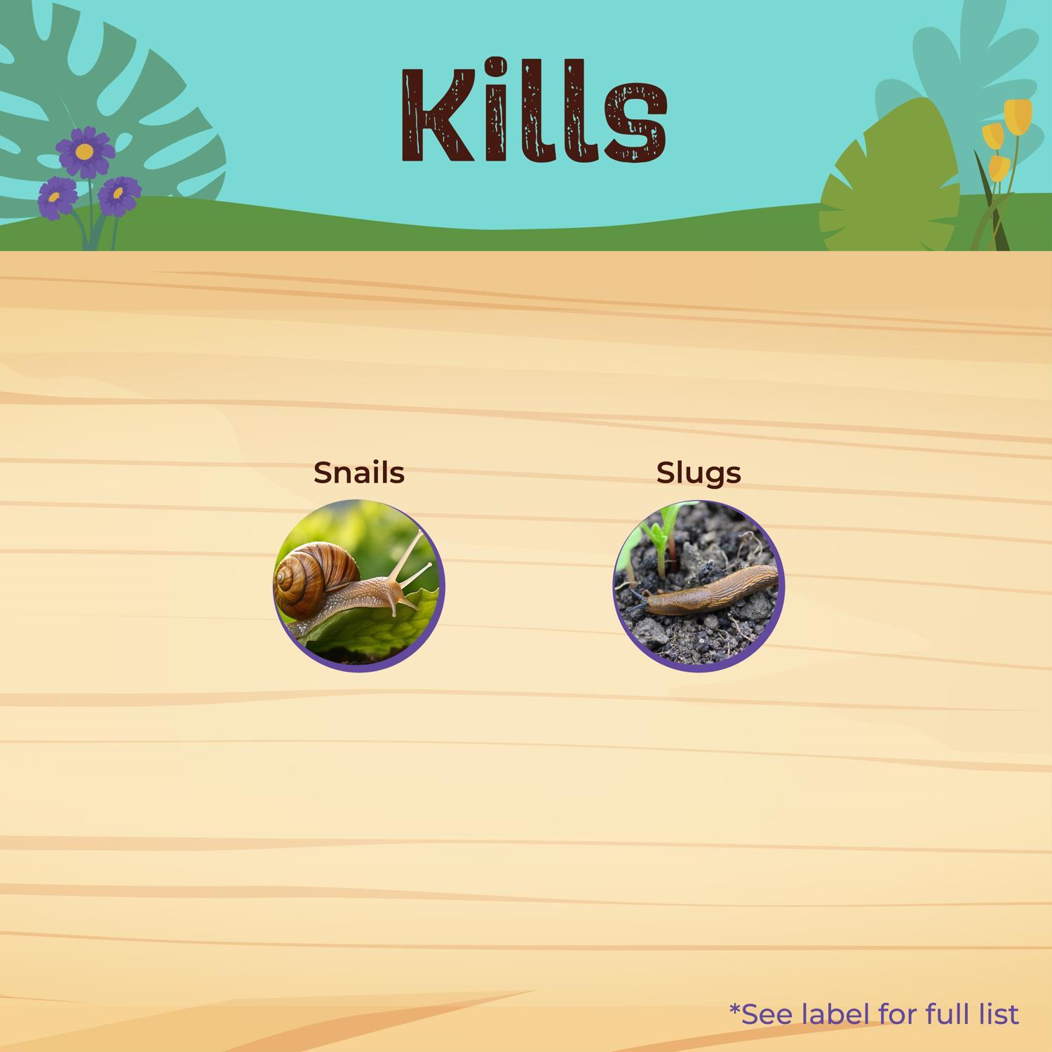 Bonide Slug Magic Organic Insect Killer Pellets 1.5 lb