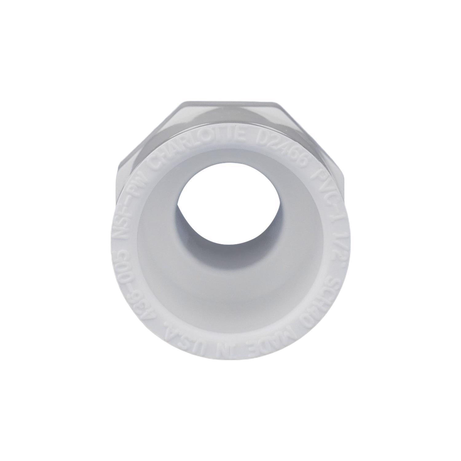 Charlotte Pipe Schedule 40 1/2 in. Slip X 1/2 in. D MPT PVC Pipe Adapter 1 pk