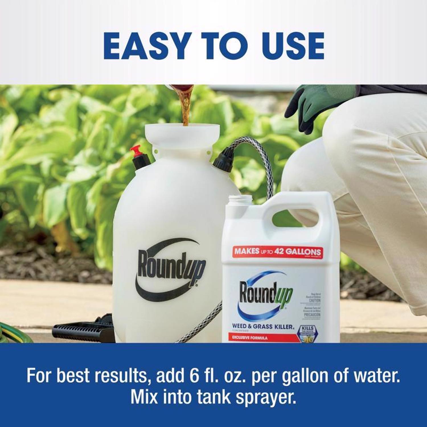 Roundup Weed and Grass Killer Concentrate 1 gal