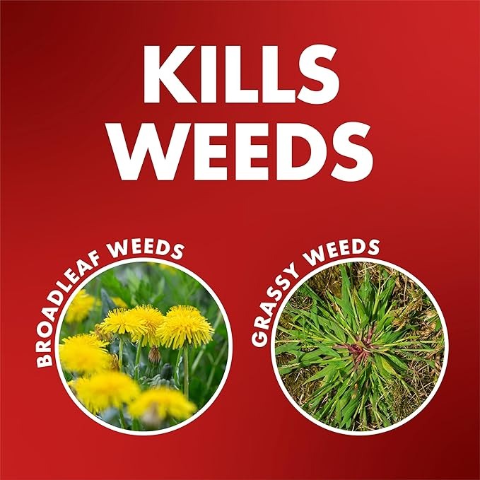 Spectracide One-Shot Weed and Grass Killer with AccuShot Sprayer, 1 Gallon, One application kills and prevents weeds for up to 5 months