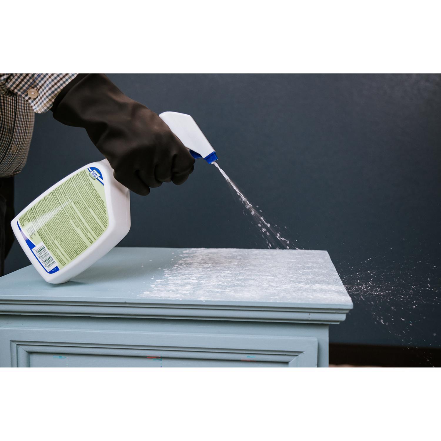 Klean Strip Green Paint and Varnish Stripper 32 oz