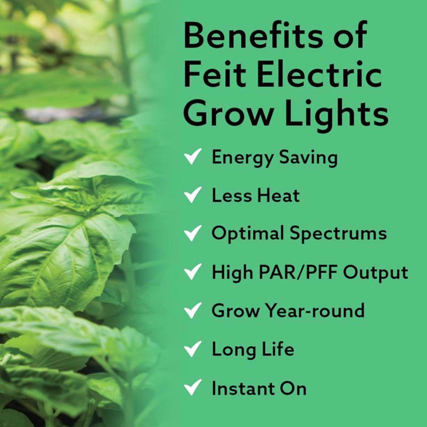 Feit PAR38 E26 (Medium) LED Grow Light Clear 30 Watt Equivalence 1 pk