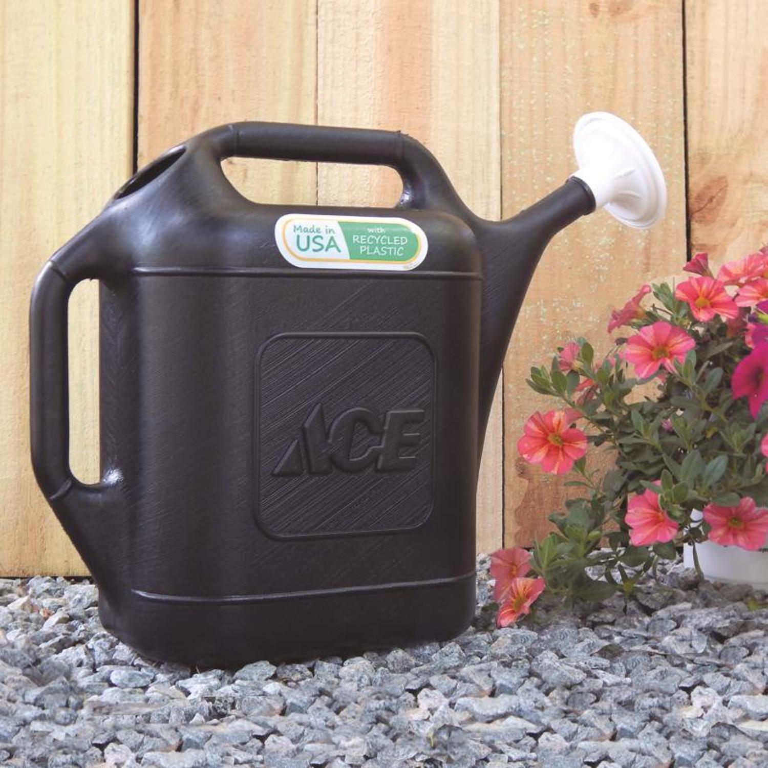 Ace Black 2 gal Plastic Watering Can