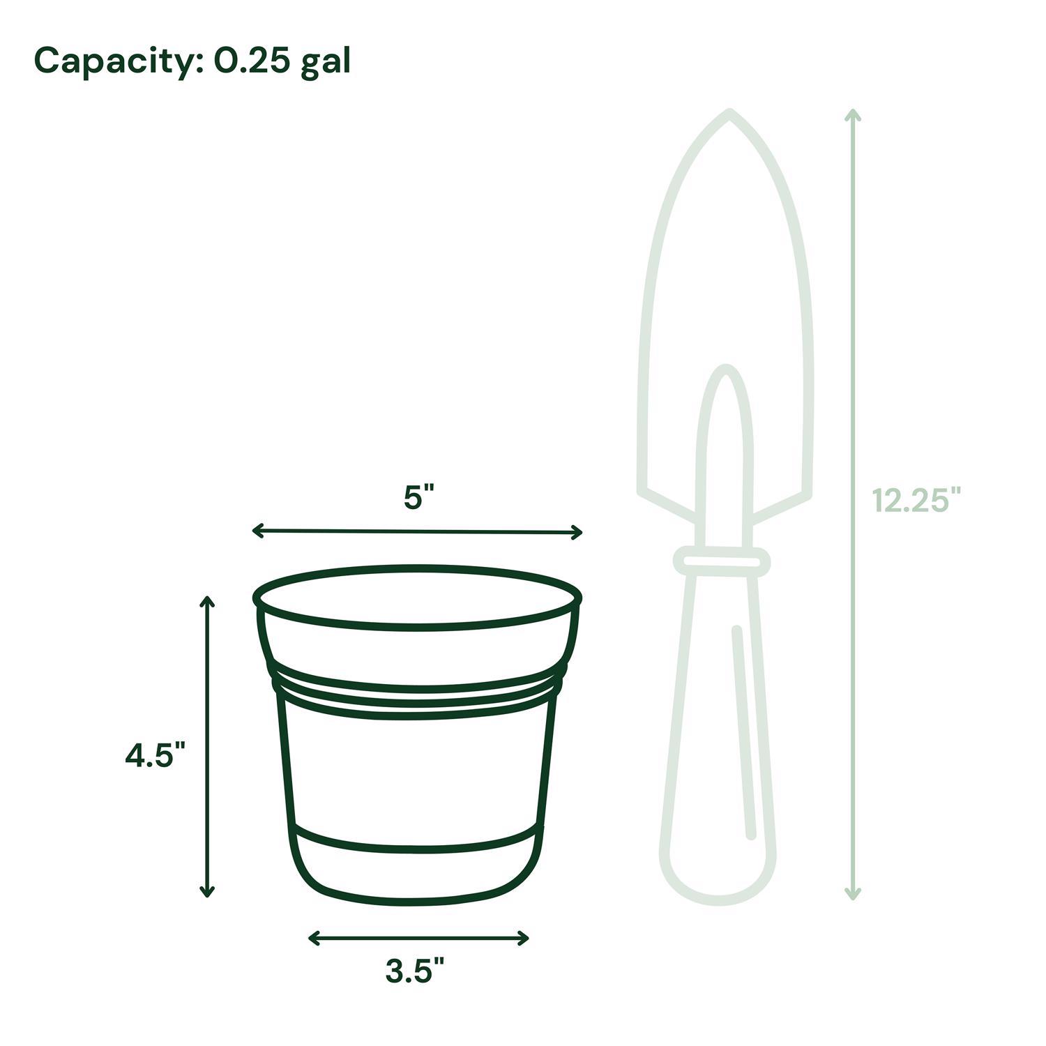 Bloem Saturn 4.5 in. H X 5 in. W Plastic Traditional Planter Yellow
