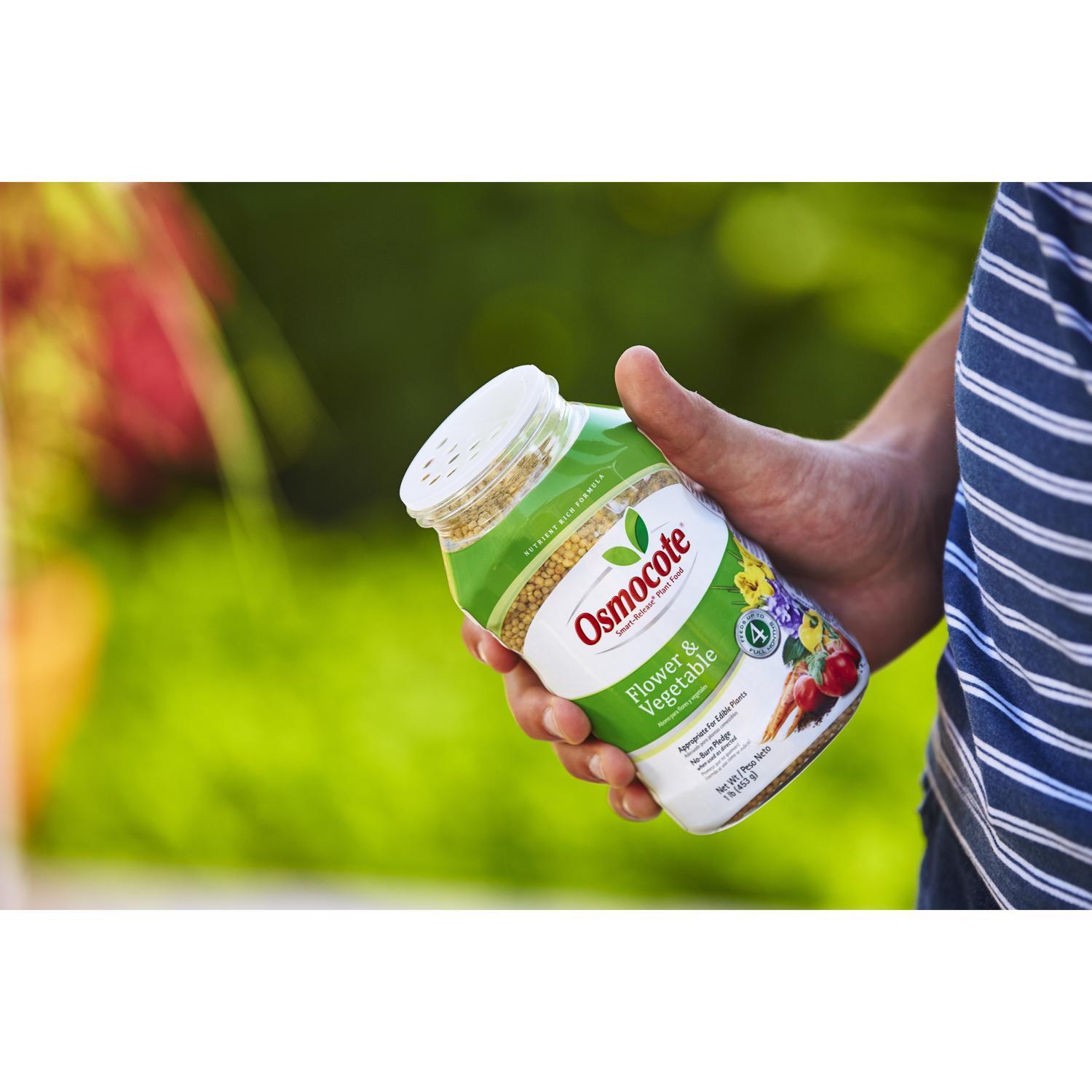 Osmocote Smart-Release Flower & Vegetable Granules Plant Food 1 lb
