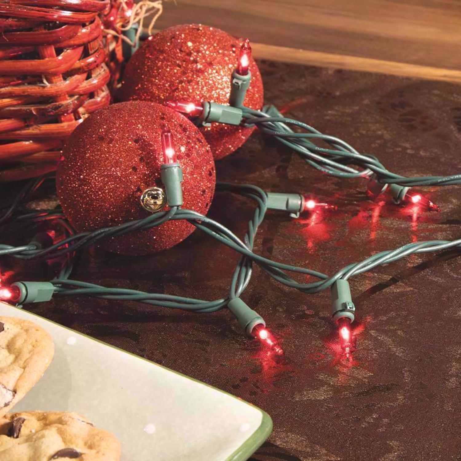 Celebrations Classic LED T5 Red 100 ct String Christmas Lights 24.75 ft.