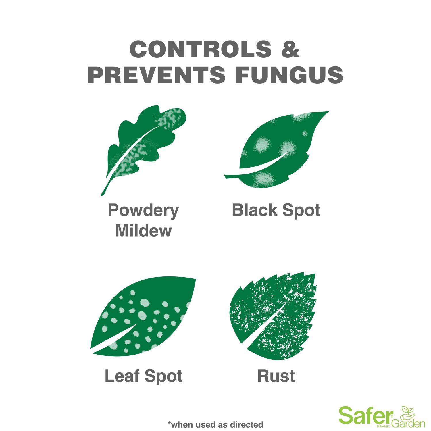 Safer Brand Organic Liquid Disease/Insect Control 24 oz