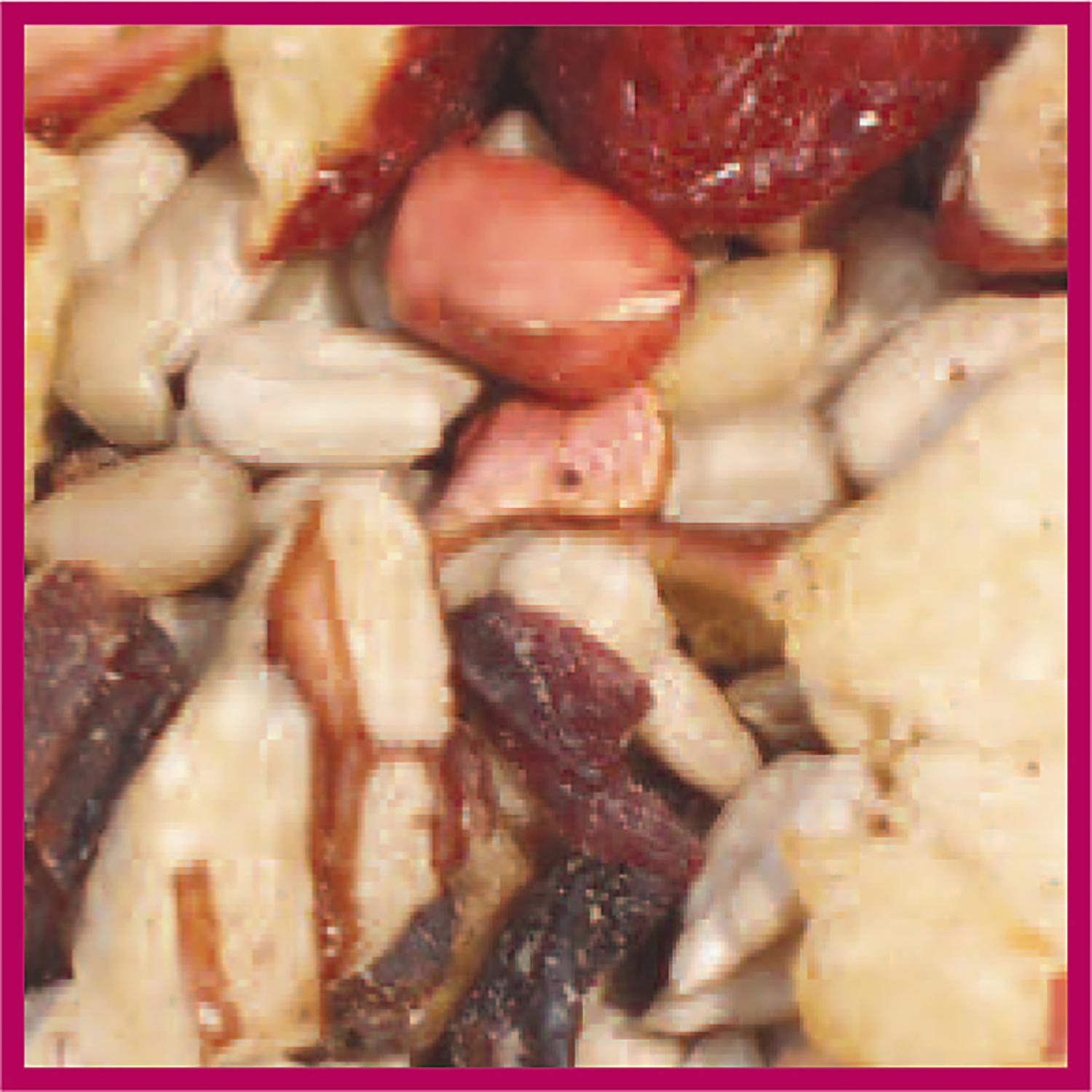 Cole's Nutberry Suet Blend Wild Bird Food 5 lb