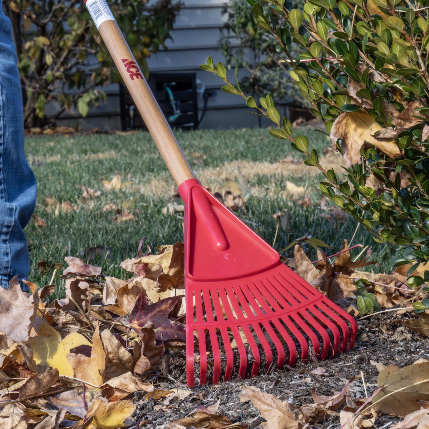 Ace 54.5 in. 14 Tine Poly Rake Wood Handle
