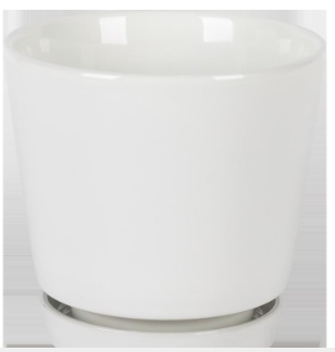 Border Concepts 8 in. D Ceramic Flair Saucer Planter White