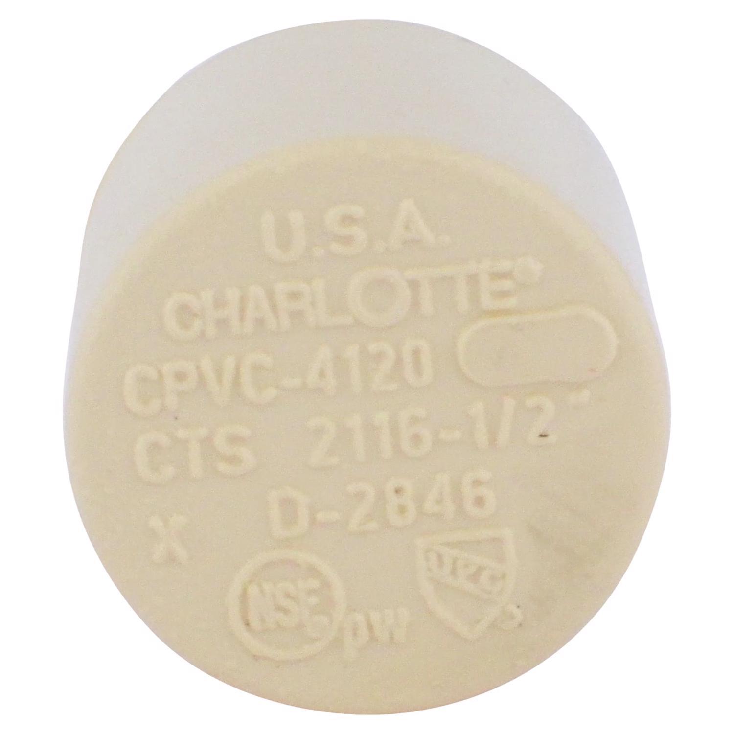Charlotte Pipe FlowGuard 1/2 in. Hub CPVC Cap 1 pk