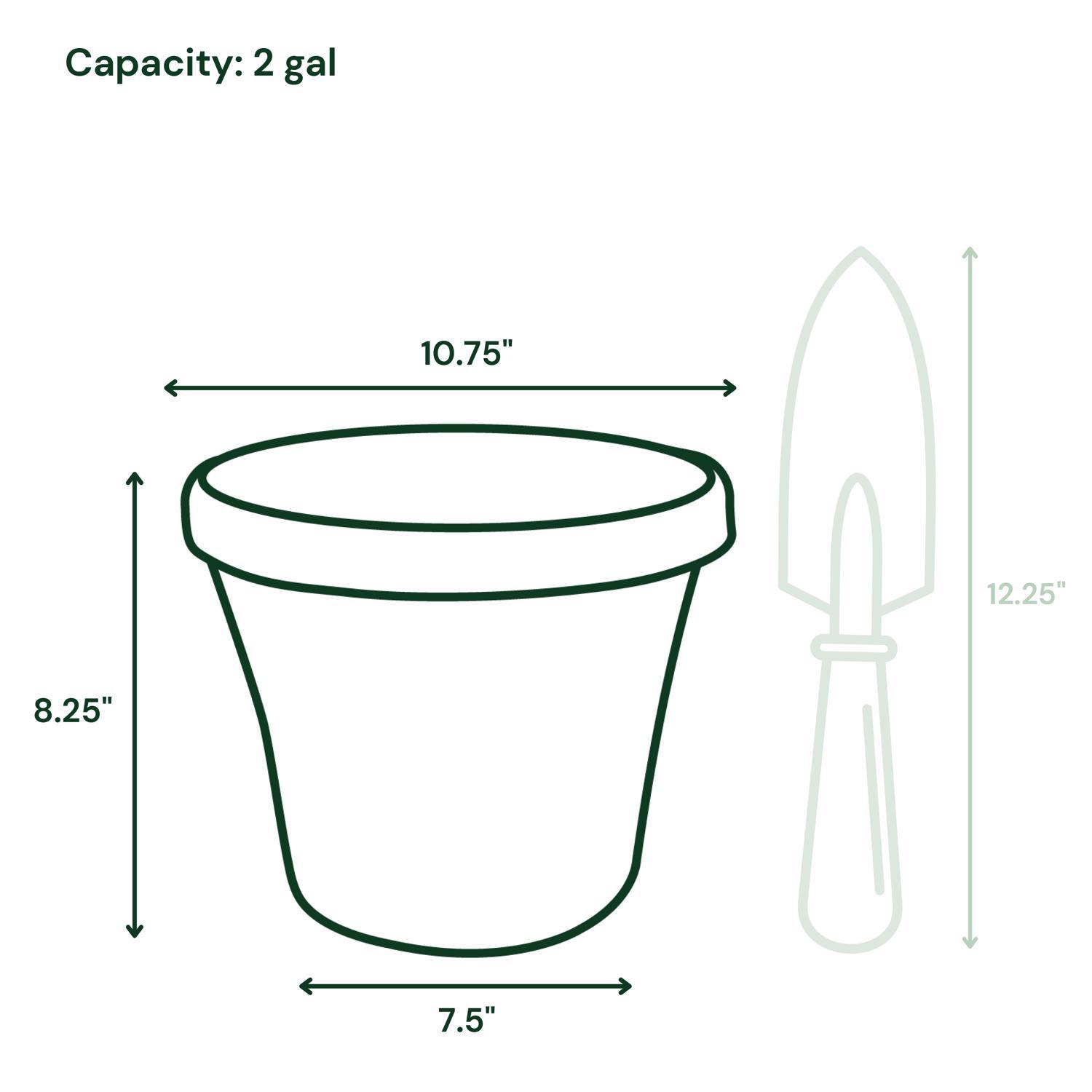 Bloem Terra 8.25 in. H X 7.5 in. W X 10.75 in. D Resin Traditional Planter Terra Cotta