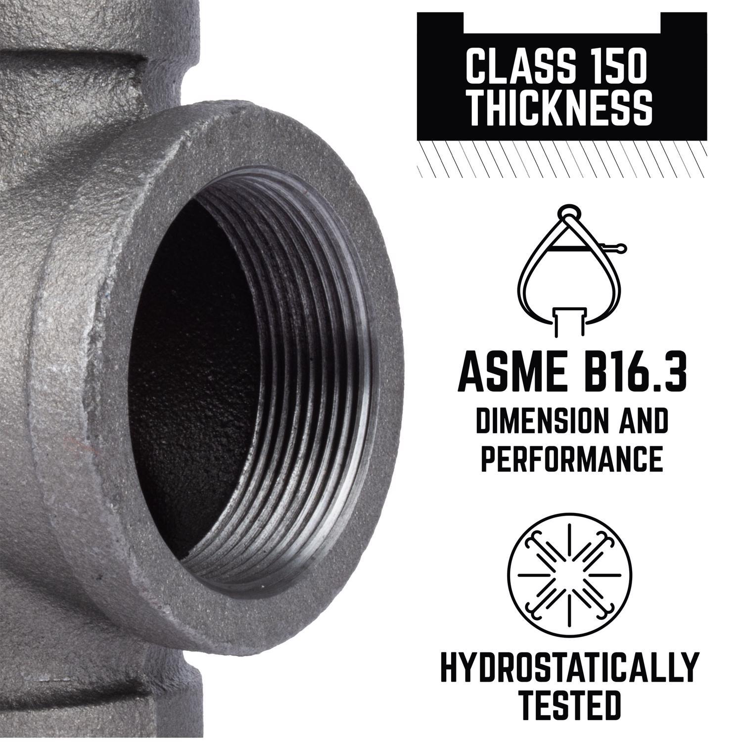 STZ Industries 2 in. FIP each Black Malleable Iron Cap