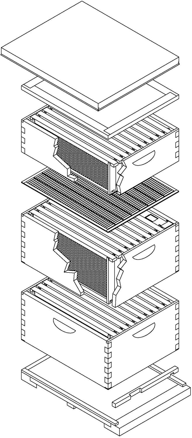 Harvest Lane Honey Deep Brood Box with Frames and Foundation