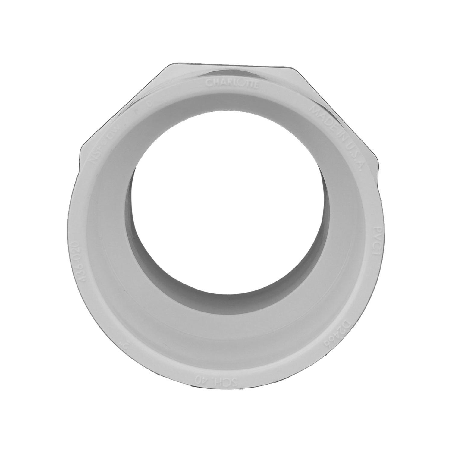 Charlotte Pipe Schedule 40 1 in. Slip X 1 in. D MPT PVC Pipe Adapter 10 pk