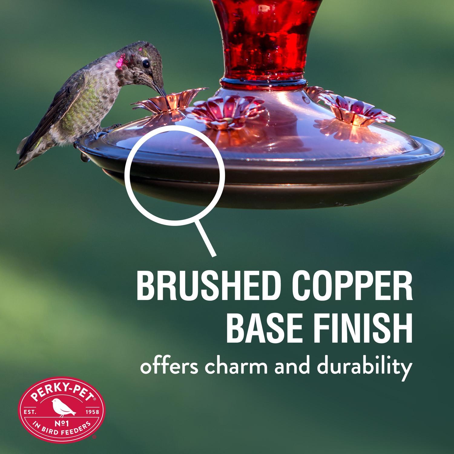 Perky-Pet Hummingbird 24 oz Copper/Glass Antique Bottle Nectar Bird Feeder 4 ports