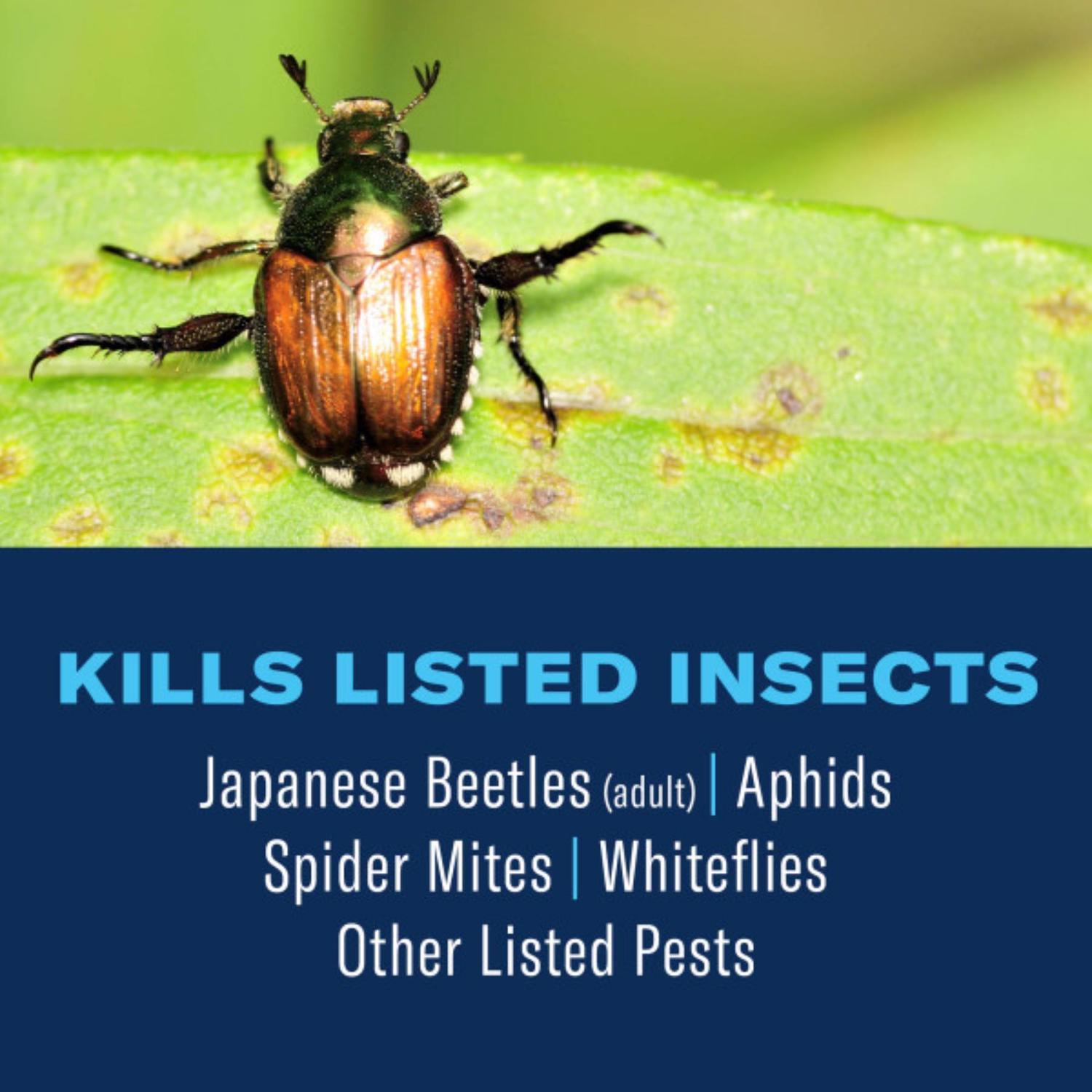 BioAdvanced All-in-One, Ready-to-Use Rose and Flower Care Spray 24 oz