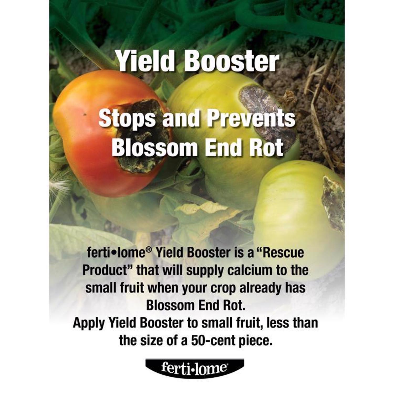 Ferti-lome Yield Booster Liquid Tomato Plant Food 16 oz