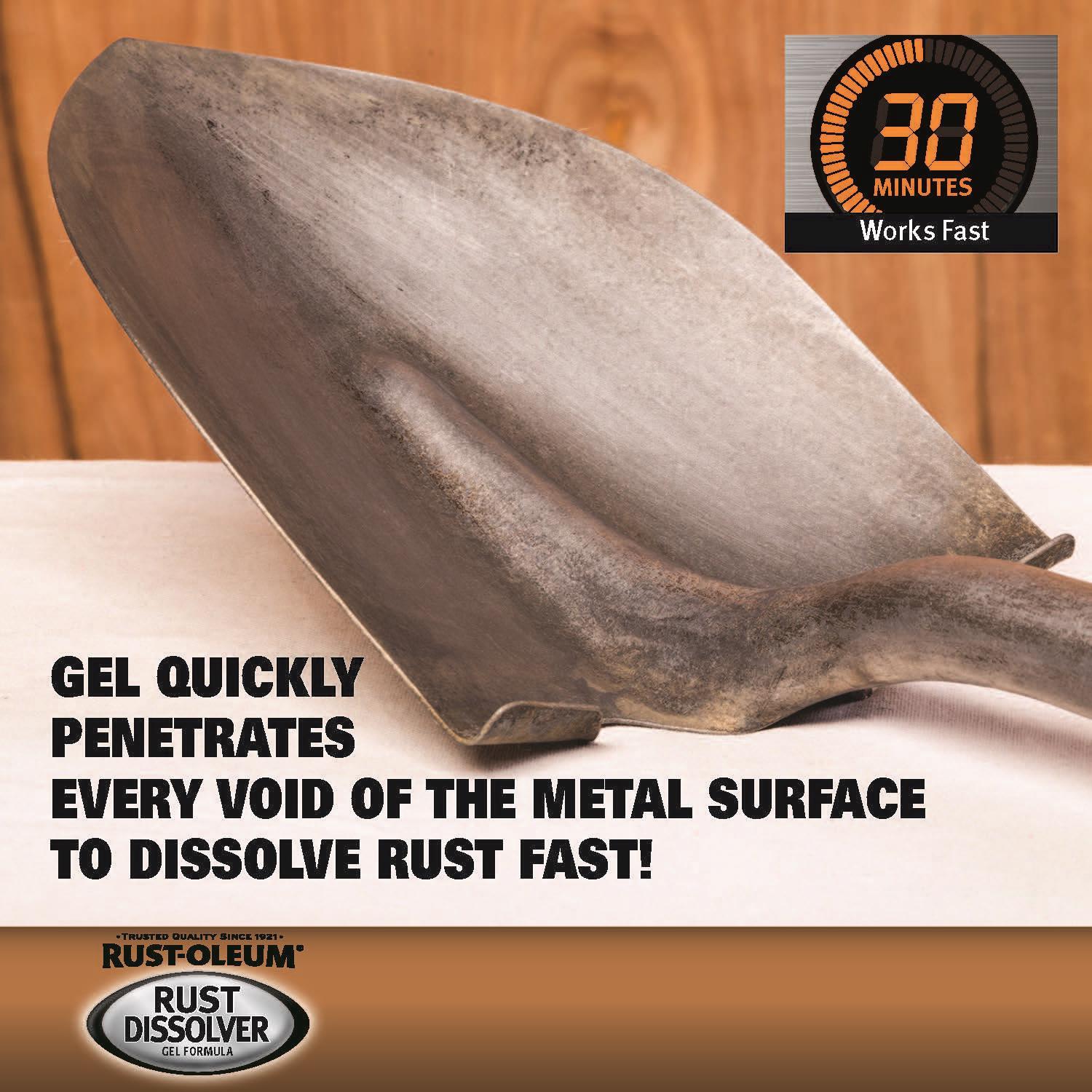 Rust-Oleum 32 oz Rust Dissolver