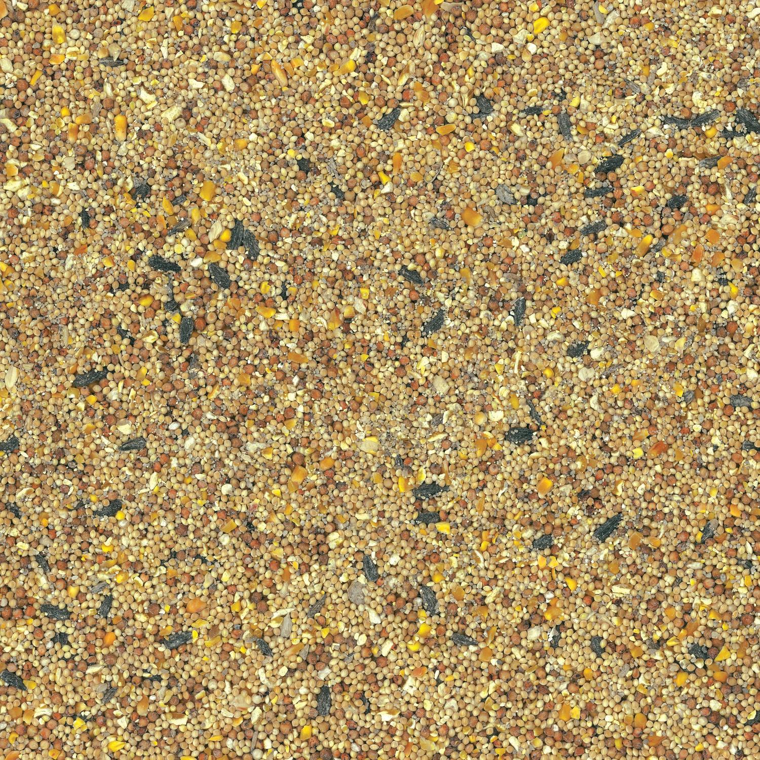 Ace Premium Assorted Species Milo and Corn Wild Bird Food 20 lb