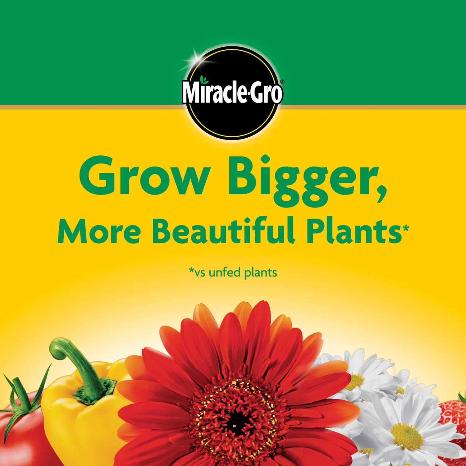 Miracle-Gro Granules Tomato, Tulips, Strawberries Plant Food 8 oz