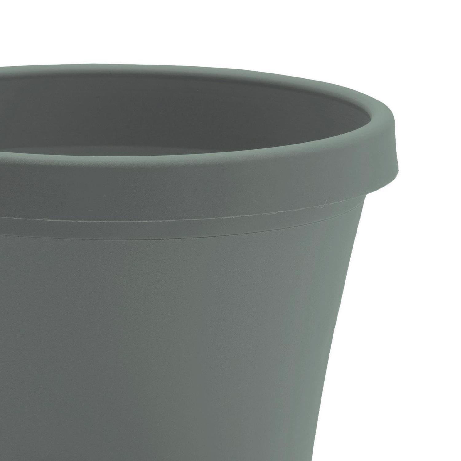 Bloem Terra 8.5 in. H X 10.75 in. W X 7.5 in. D Plastic Traditional Planter Basil