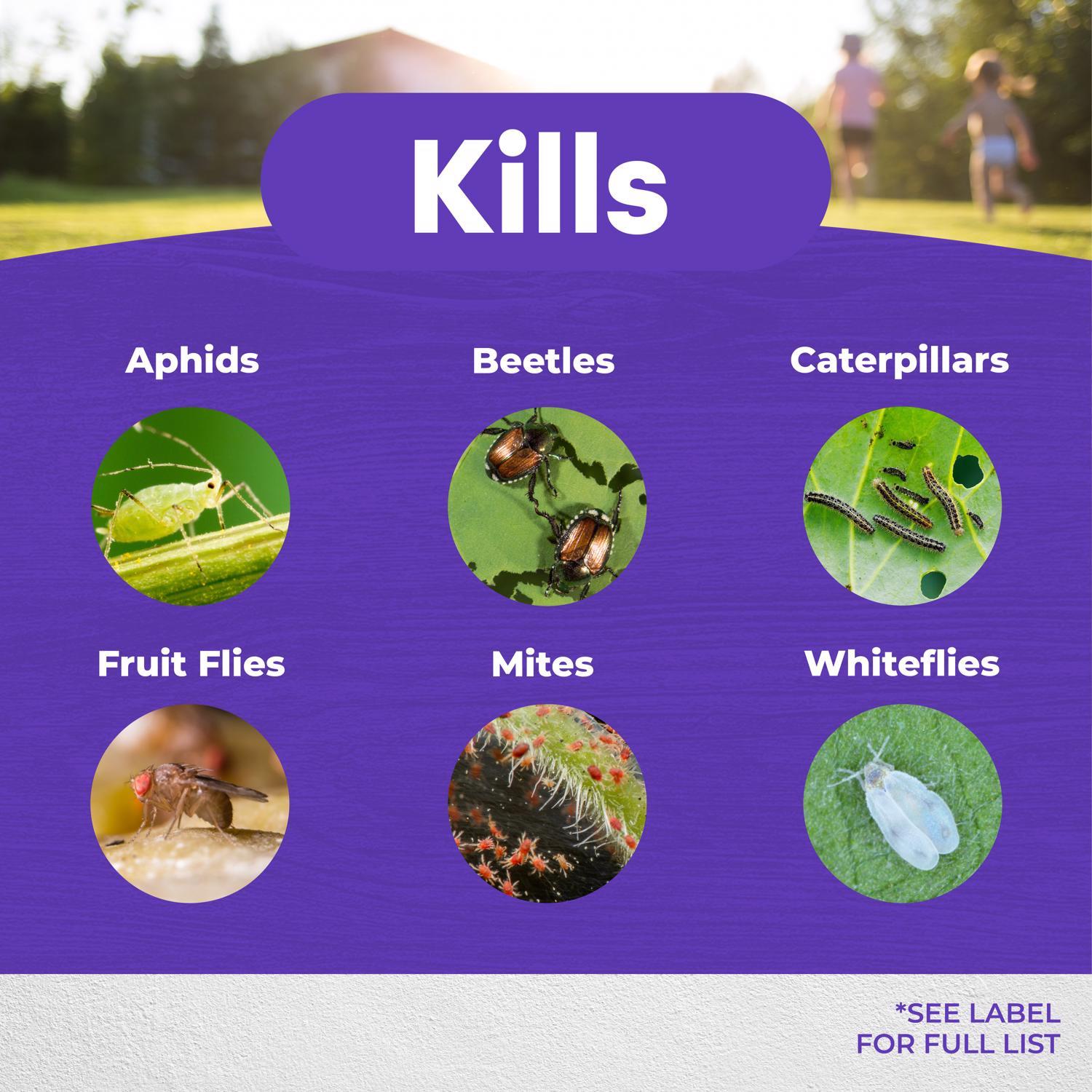 Bonide Bon-Neem II Organic 3 in 1 Garden Insect Spray Liquid 32 oz