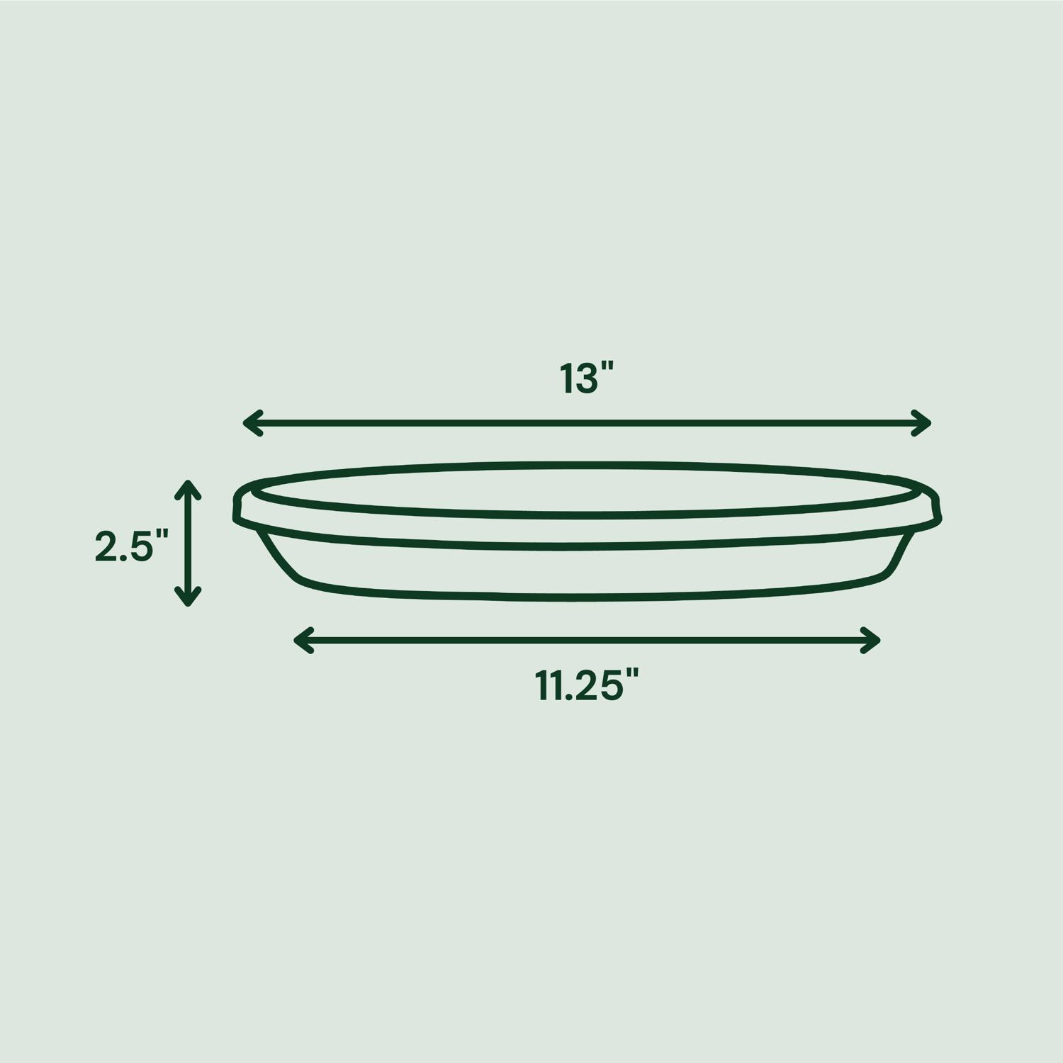 Bloem Terra 2.5 in. H X 13 in. W X 11.25 in. D Resin Traditional Plant Saucer Living Green