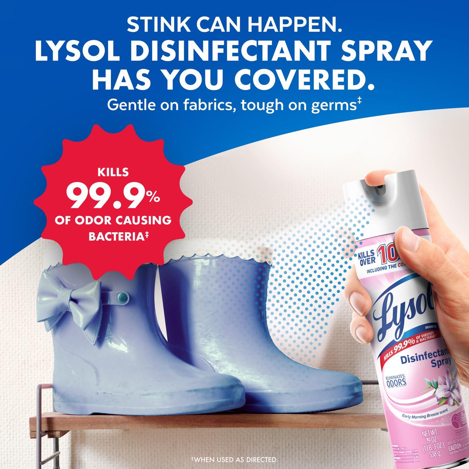 Lysol Early Morning Breeze Scent Disinfectant Spray 12.5 oz 1 pk