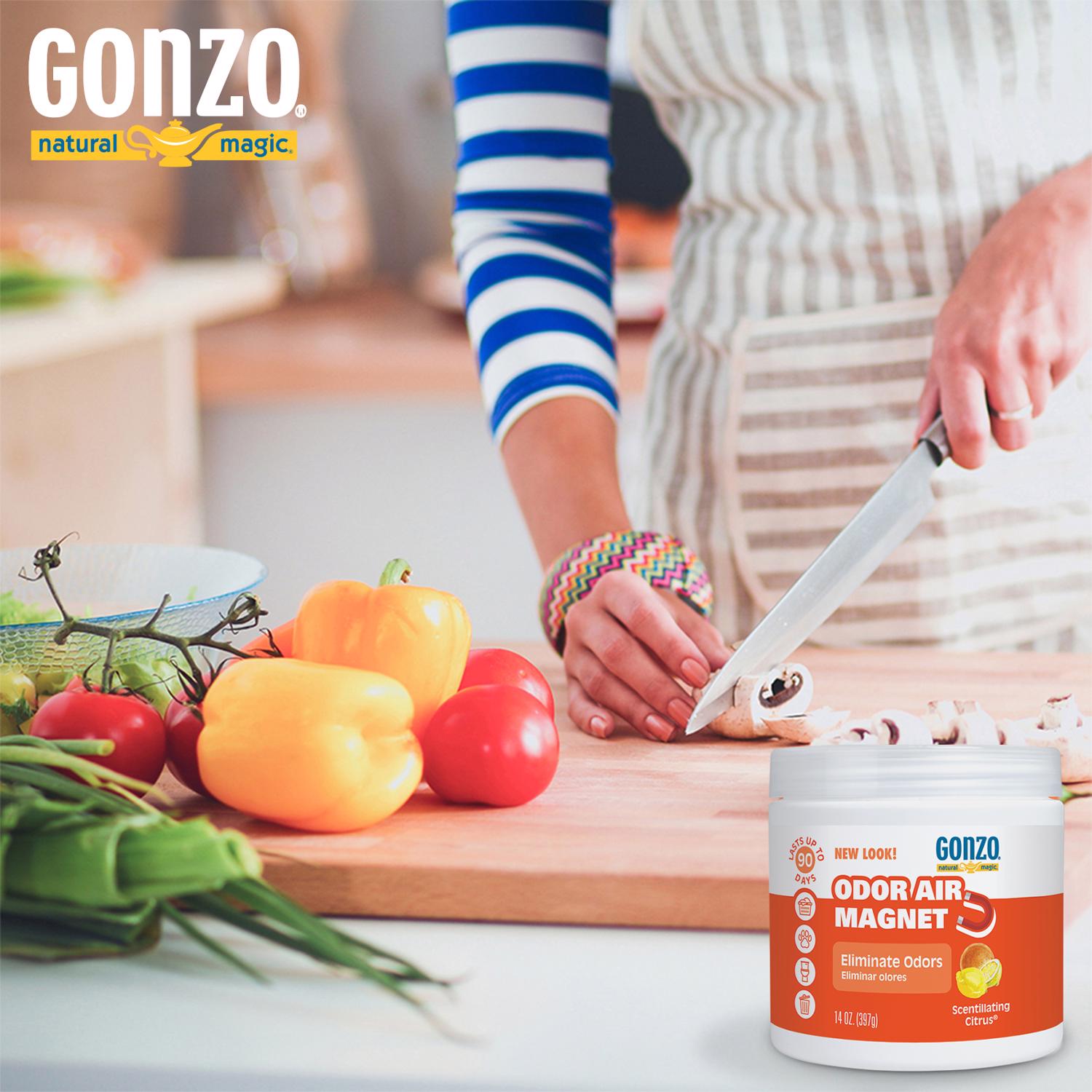 Gonzo Natural Magic Citrus Scent Odor Absorber 14 oz Gel Stine Home Yard The Family You Can Build Around