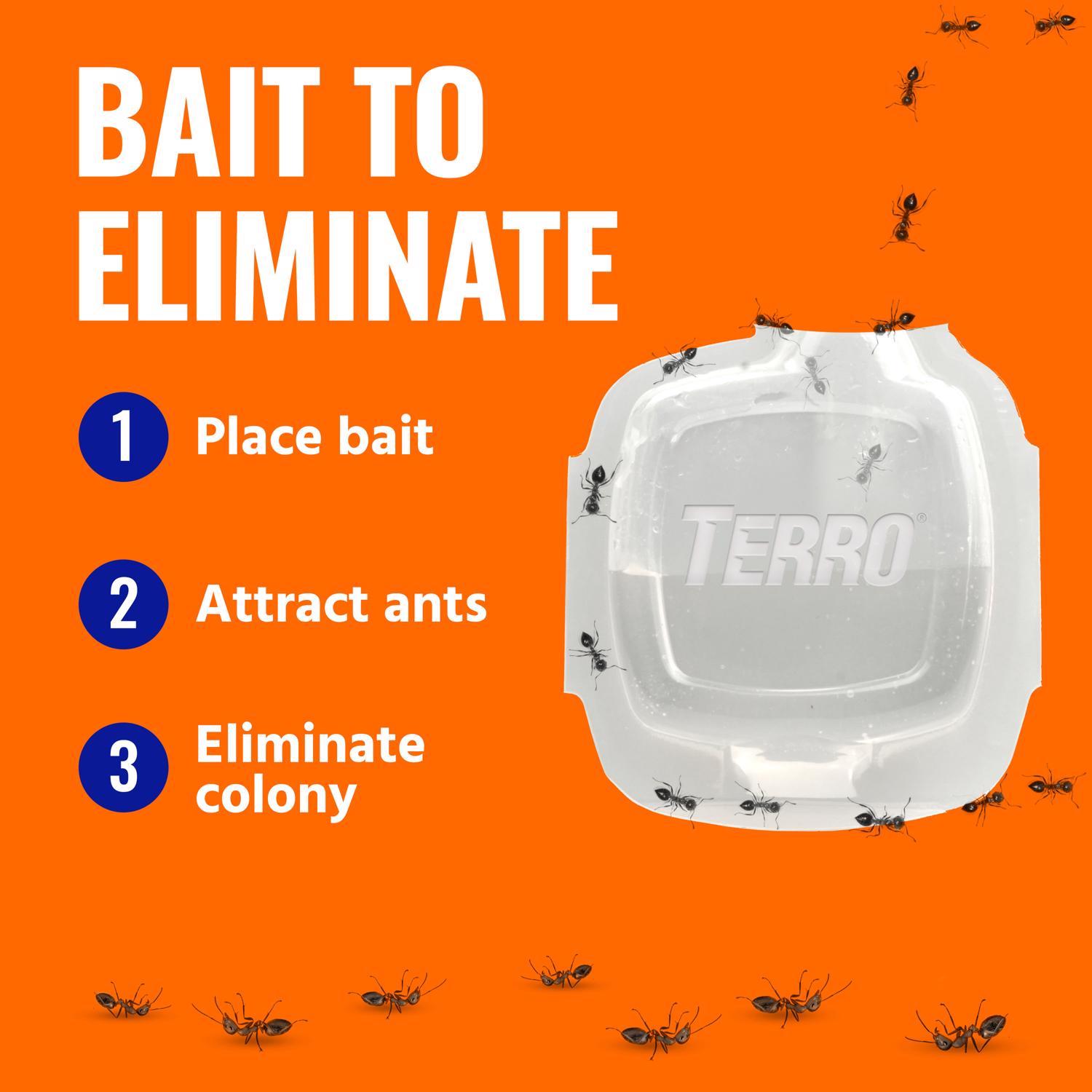 TERRO Ant Bait Station 4 pk