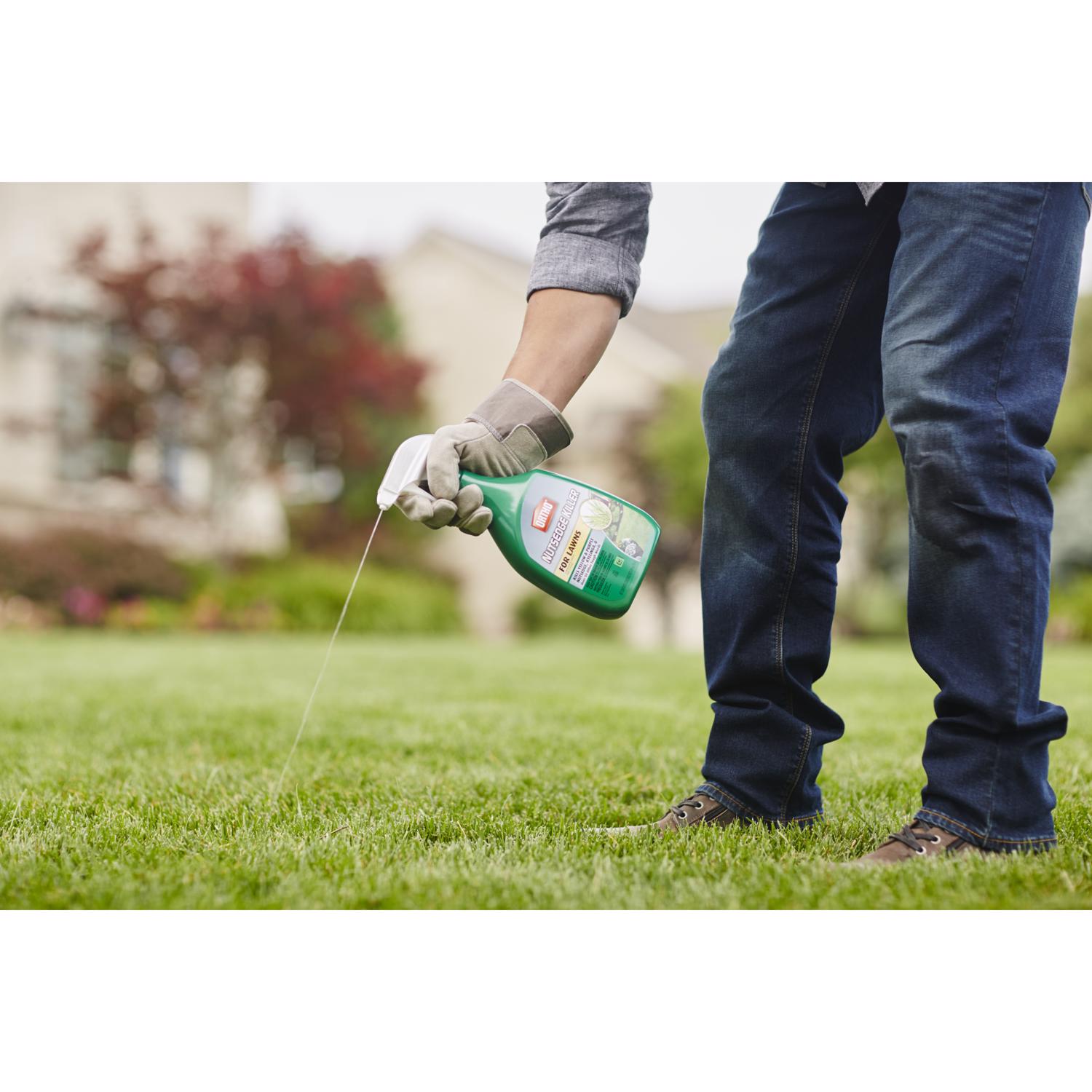 Ortho Nutsedge Killer RTU Liquid 24 oz Stine Home + Yard The Family