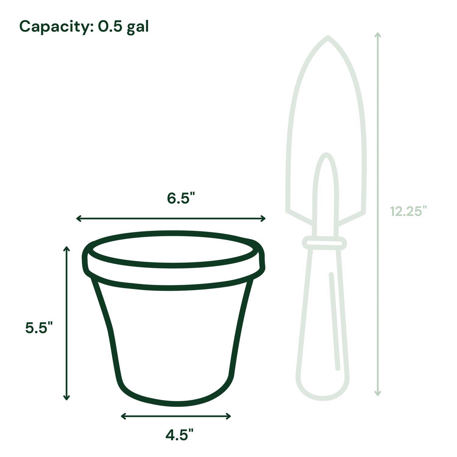 Bloem Terra 5.5 in. H X 6.5 in. W Resin Traditional Planter Terracotta Clay