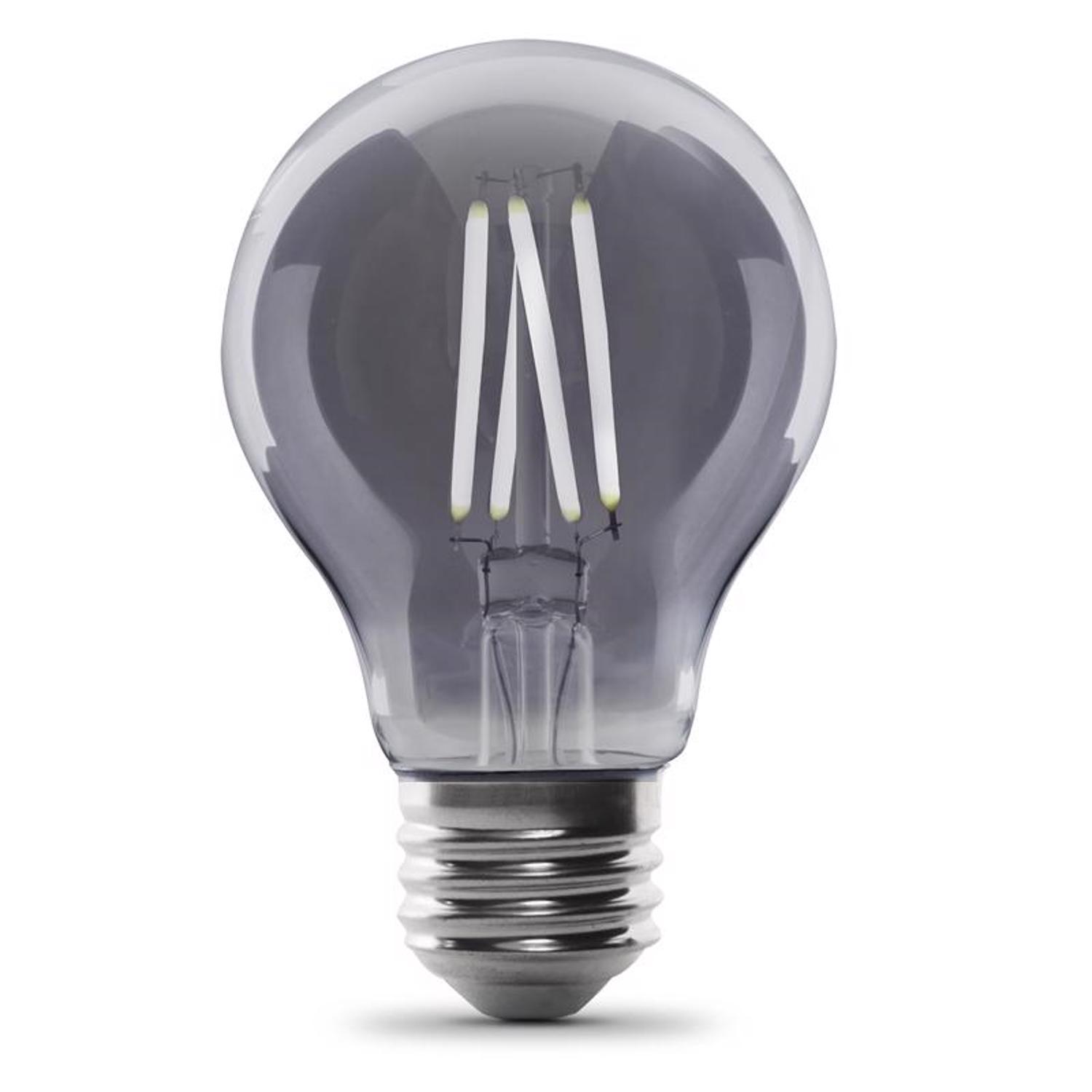Feit A19 E26 (Medium) Filament LED Bulb Smoke Daylight 25 Watt Equivalence 1 pk