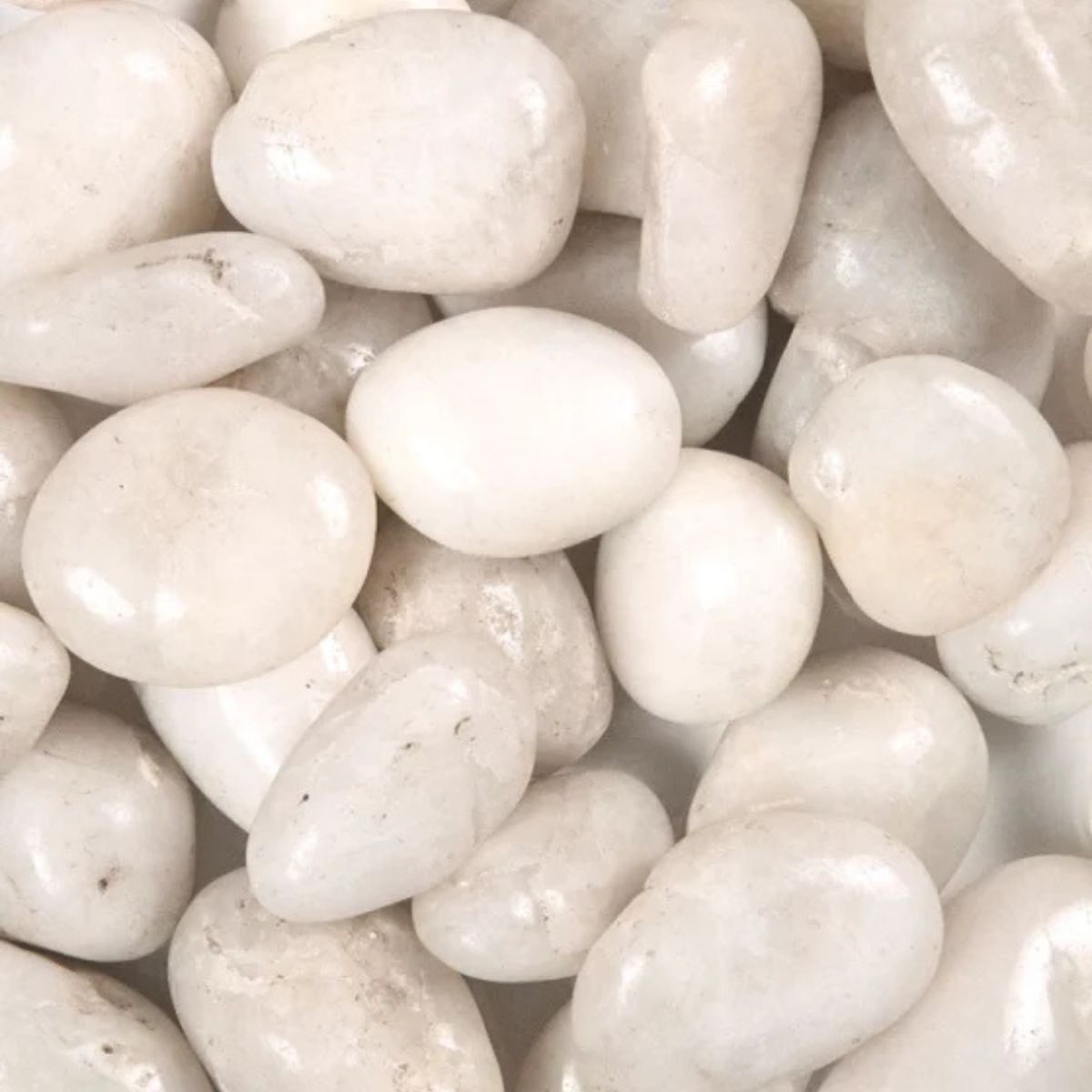 MSI Piedra White Polished Pebbles 1 in. - 2 in. Large Finish 40 LB