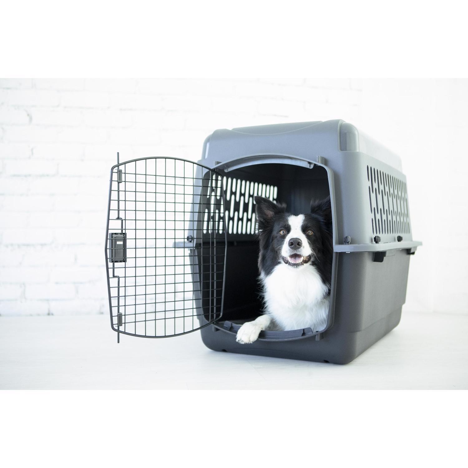 Aspen Pet Pet Porter Medium Plastic Pet Kennel Gray 24 in. H X 22.5 in. W X 32 in. D