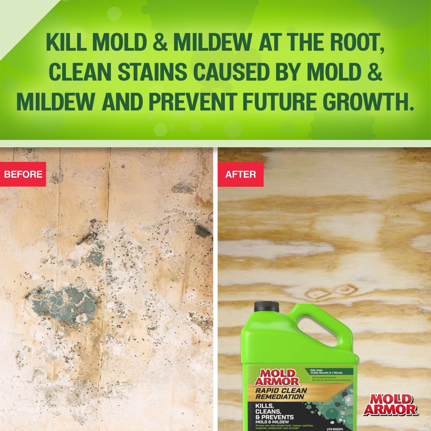 Mold Armor Mold and Mildew Remover 1 gal