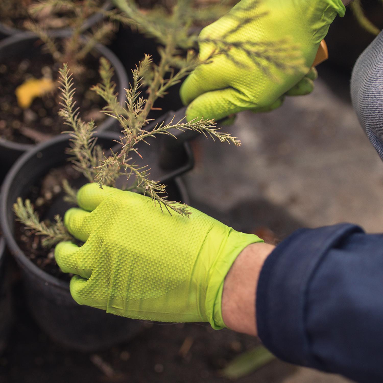 Gloveworks Nitrile Disposable Gloves X-Large Green Powder Free 100 pk