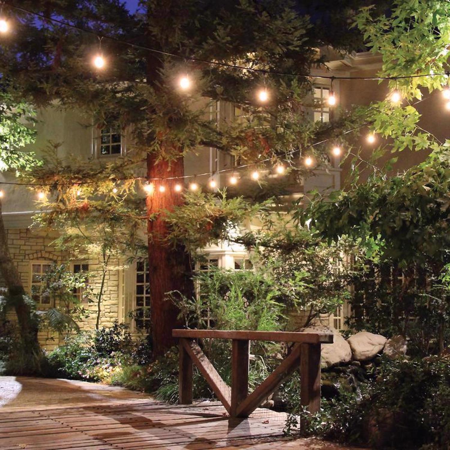 Feit Incandescent String Light Set Clear 20 ft. 10 lights