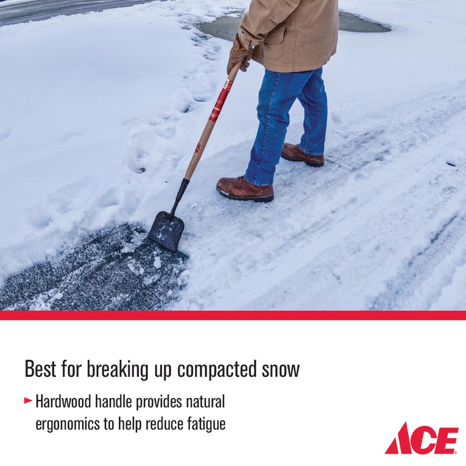 Ace 7 in. W X 58.25 in. L Steel Sidewalk Scraper