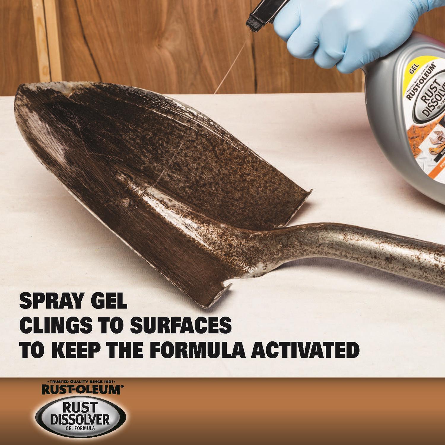 Rust-Oleum 32 oz Rust Dissolver