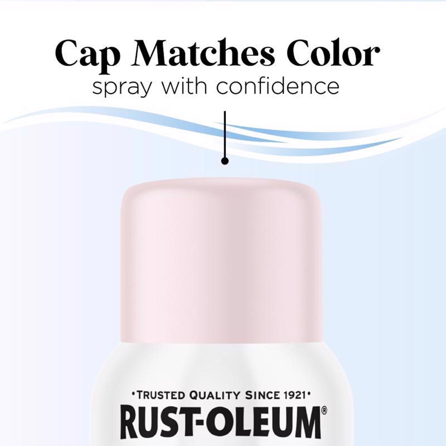 Rust-Oleum Low Odor Matte Dusty Rose Spray Paint 11 oz.