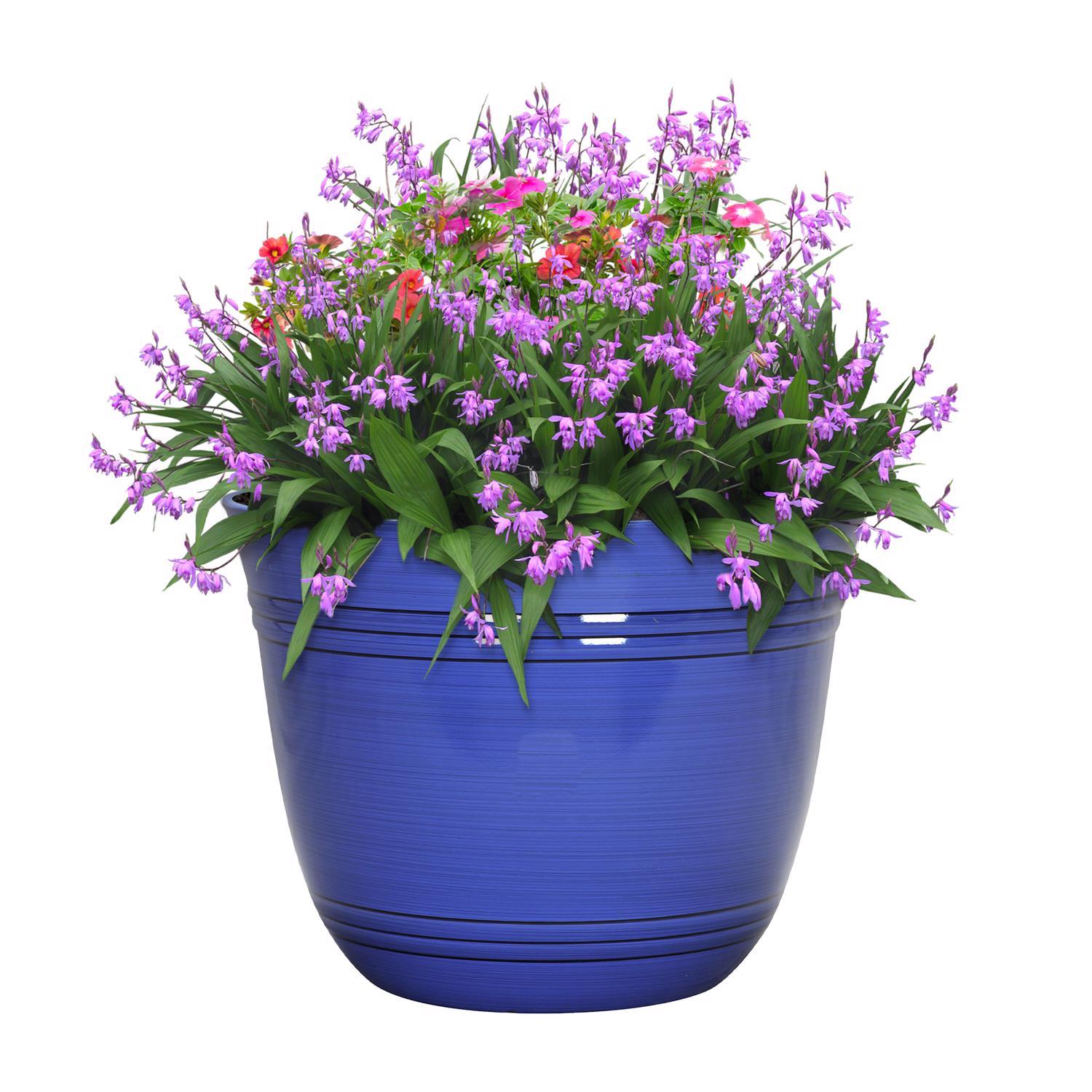 L&G 11 in. H X 14.5 in. W X 14.5 in. D X 14.5 in. D Polyresin Galileo Planter Cobalt