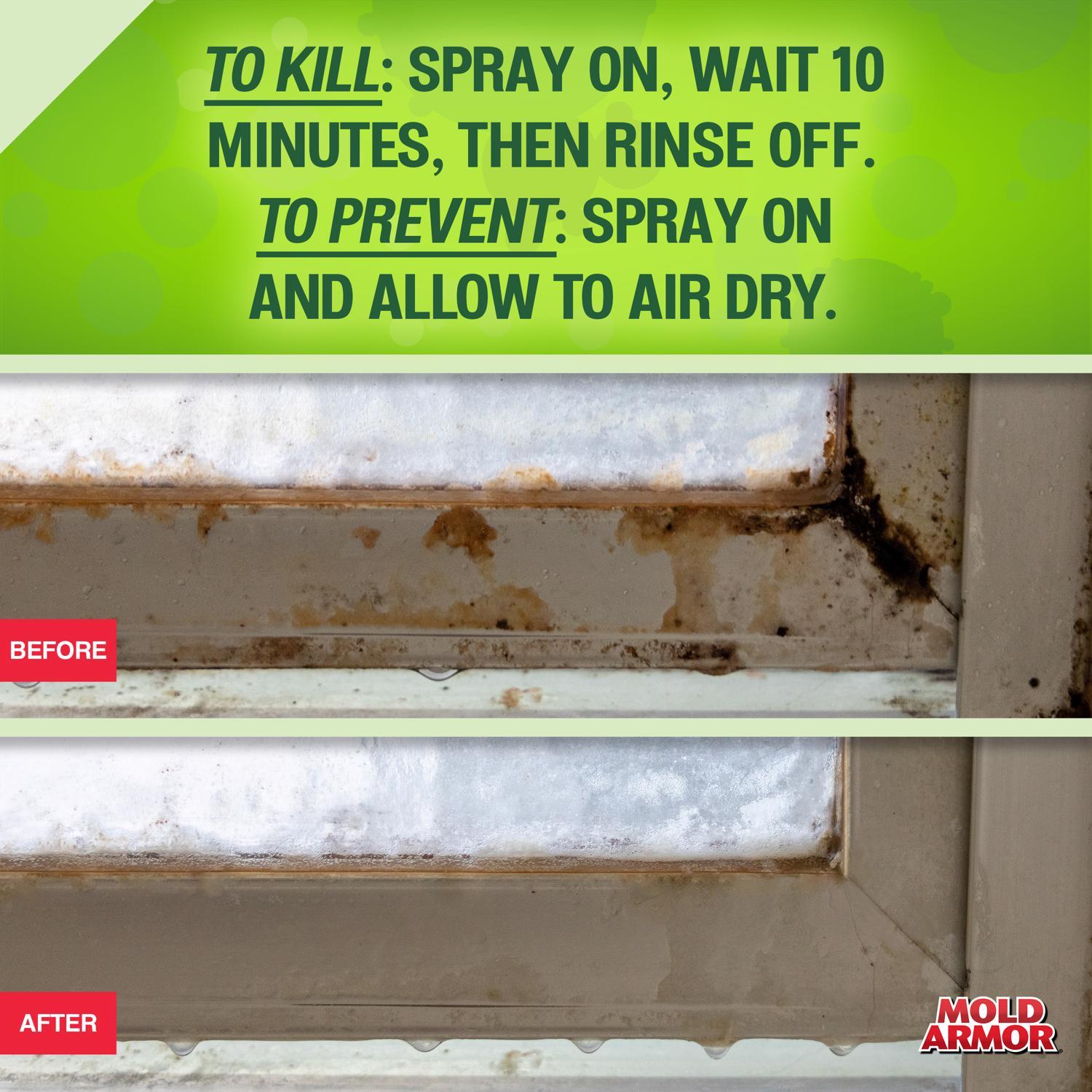 Mold Armor Mold and Mildew Remover 32 fl. oz.