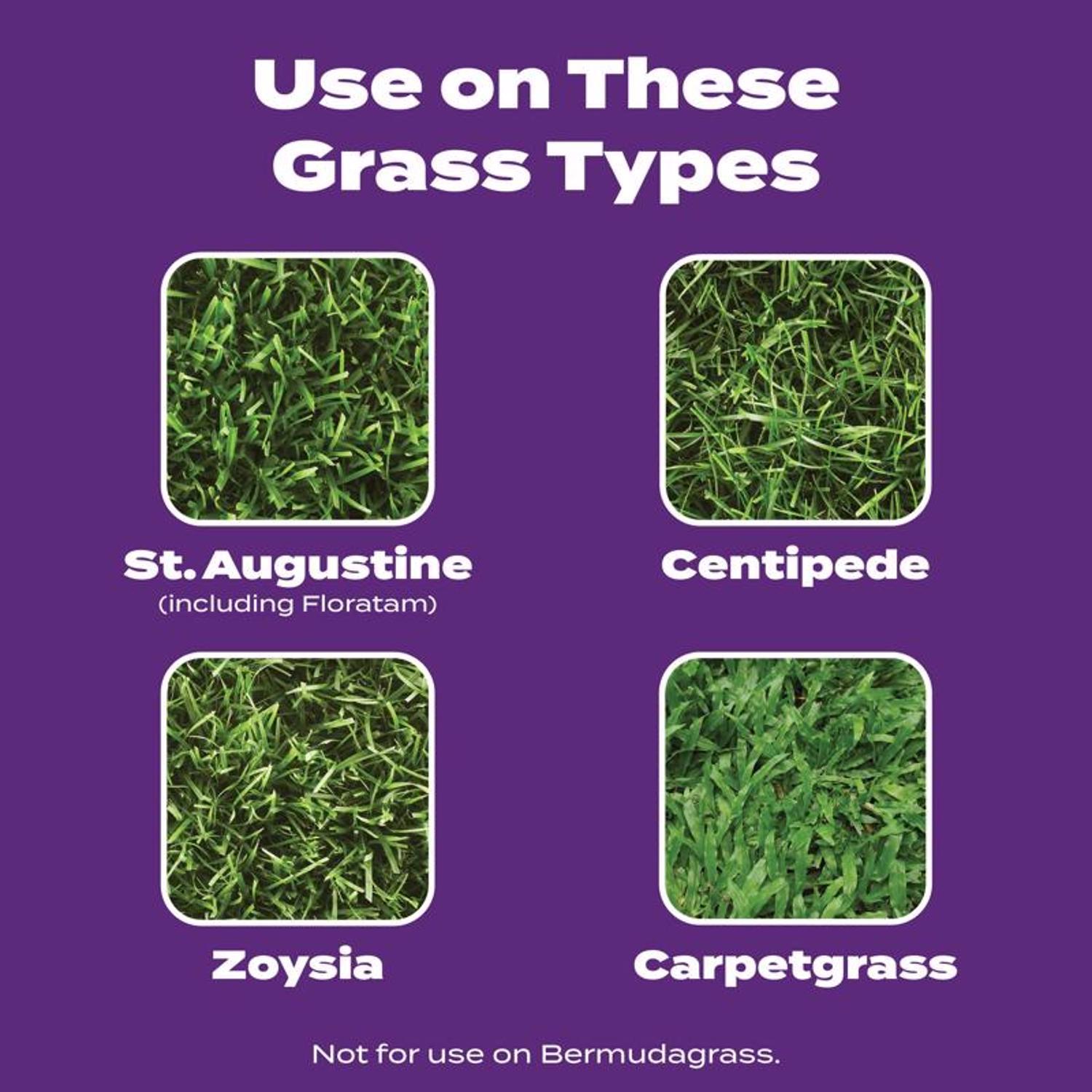 Scotts Turf Builder Bonus S Weed & Feed Southern Lawn Food For Multiple Grass Types 5000 sq ft