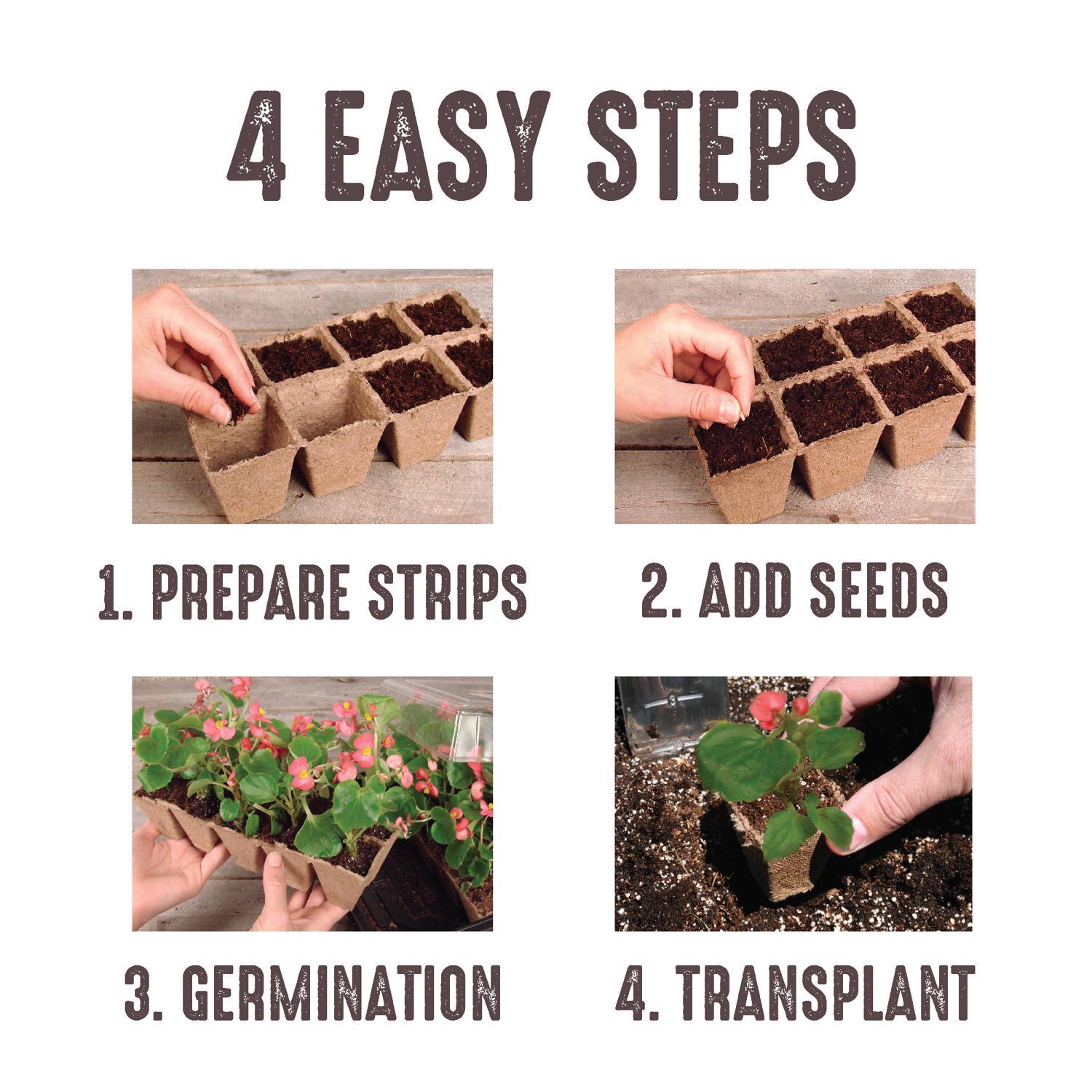 Jiffy 50 Cells 5.5 in. H X 11 in. W X 21 in. L Seed Starting Kit 1 pk