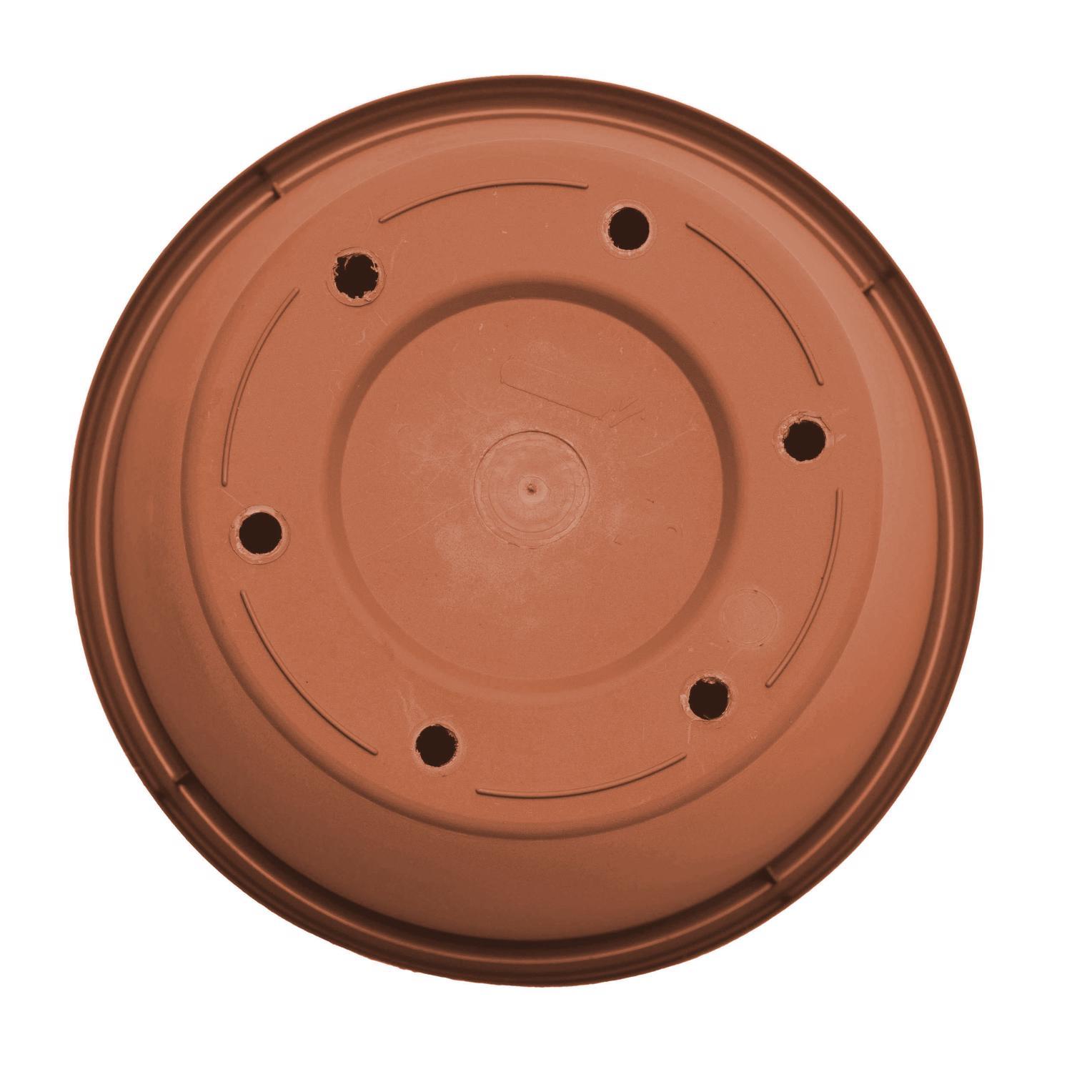 Bloem Terra 5.5 in. H X 6.5 in. W Resin Traditional Planter Terra Cotta