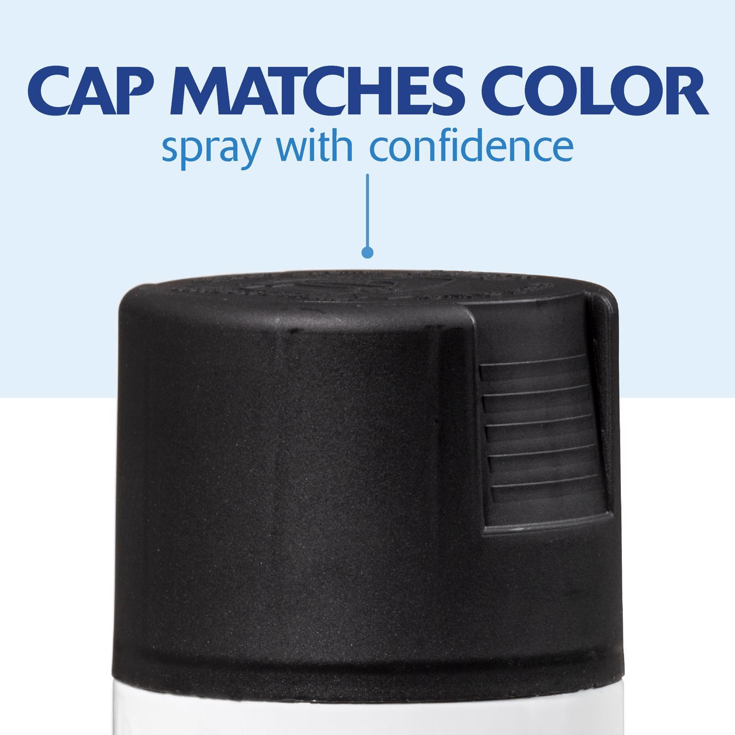 Rust-Oleum Painter's Touch 2X Ultra Cover Satin Canyon Black Paint+Primer Spray Paint 12 oz